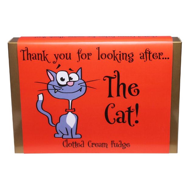 Picture of Thank You For Looking After The Cat  Clotted Cream Fudge170g 