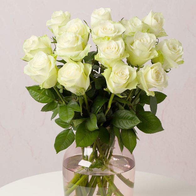 Picture of White Rose 