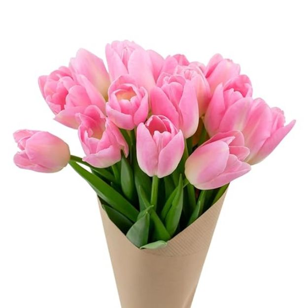 Picture of Pink Tulips