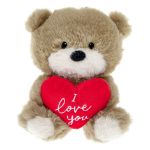 Picture of Small I Love You Hugs Bear Soft Toy