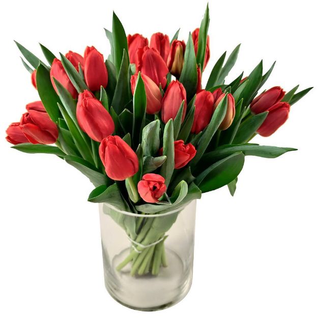 Picture of Red Tulips